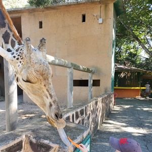 Meet your Posher, Jamie